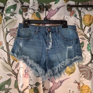 Celebrity Pink Blue Frayed Jean Shorts